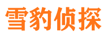 长江新区侦探公司